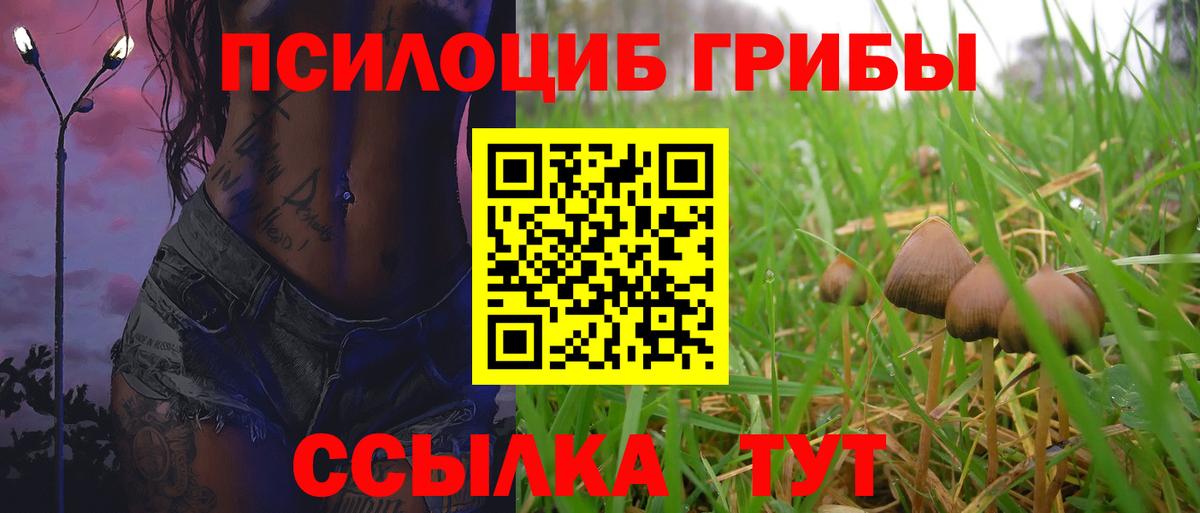Галлюциногенные грибы GOLDEN TEACHER  Вход с VPN  Заволжье 